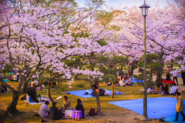 Exotic Korea Tour Package