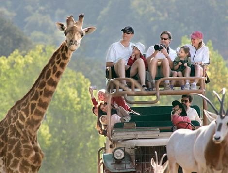 South Africa Best Offer