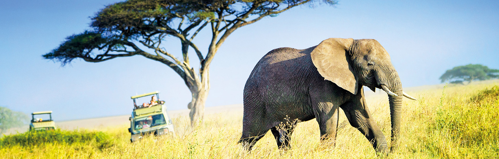 South Africa Tour Packages