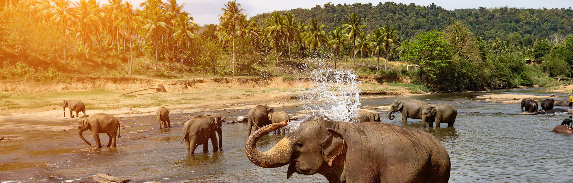 Sri Lanka Tour Packages