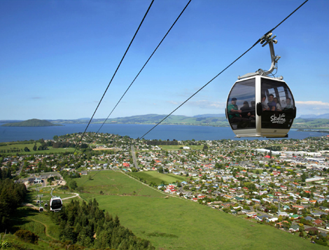 New Zealand Best Offer